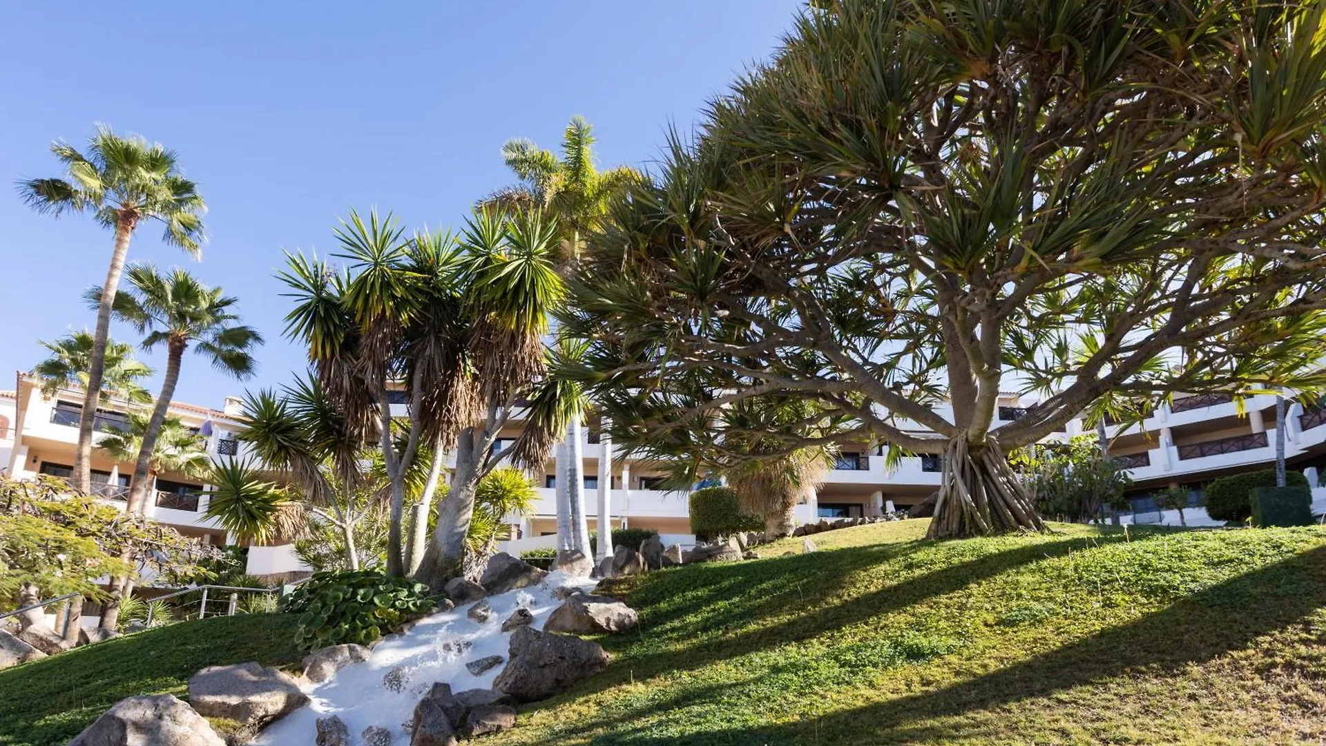 Lägenhet Albatros 433B Holiday Home In Tenerife South San Miguel de Abona